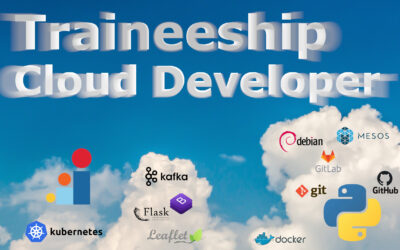 Traineeship Cloud Developer